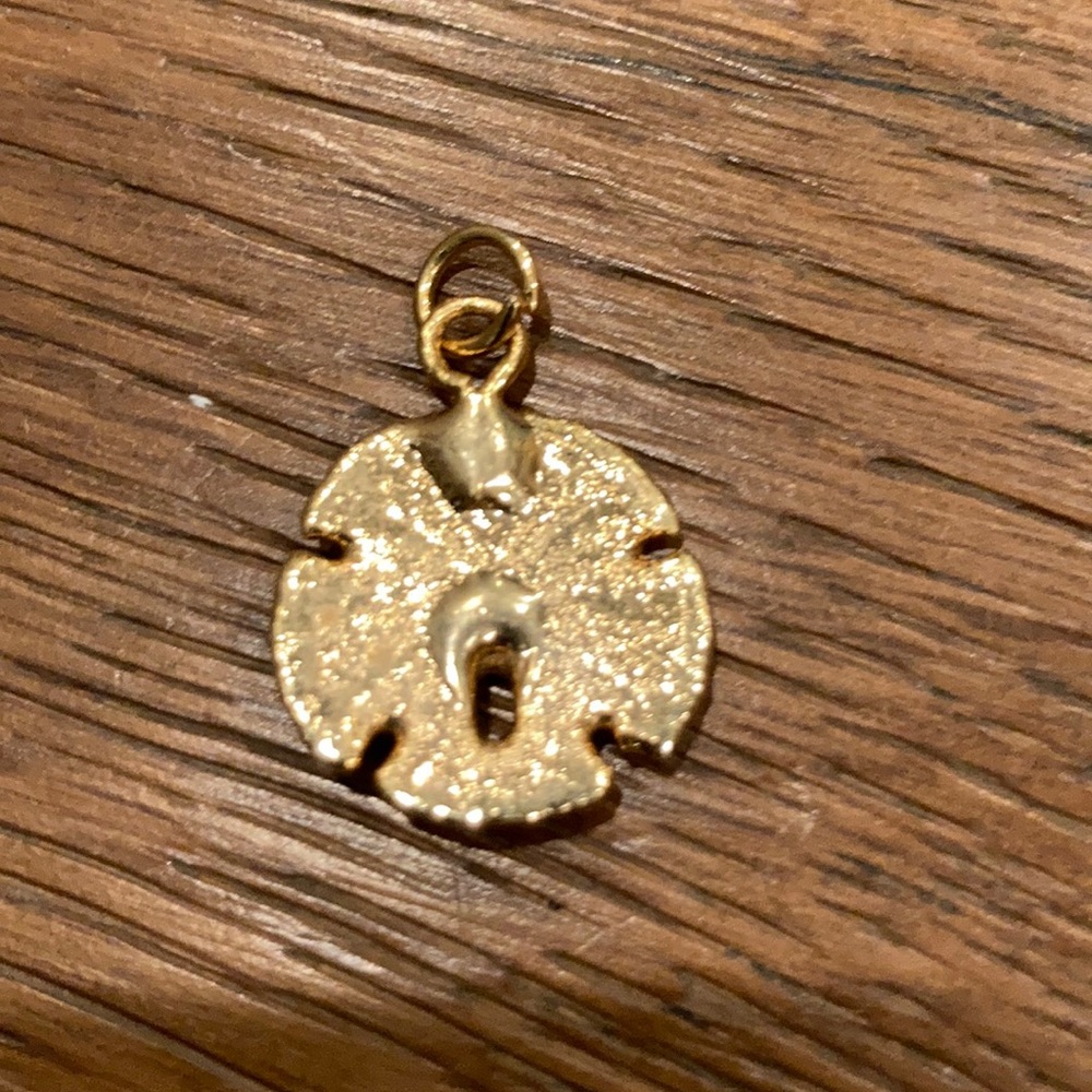Sand dollar charm - Picture 2 of 2